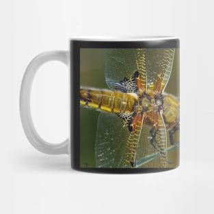 broad bodied chaser dragonfly Mug